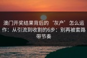 澳门开奖结果背后的‘灰产’怎么运作：从引流到收割的6步：别再被套路带节奏