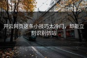 开云网页这条小技巧太冷门，却能立刻识别仿站