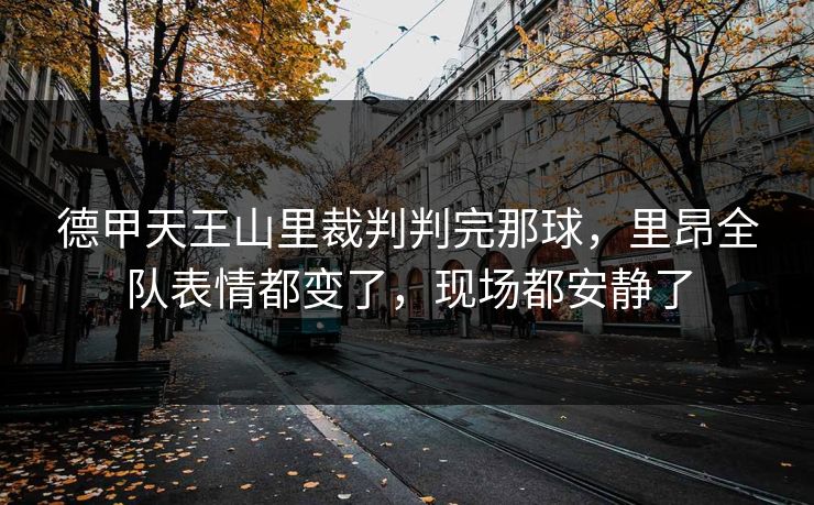 德甲天王山里裁判判完那球，里昂全队表情都变了，现场都安静了