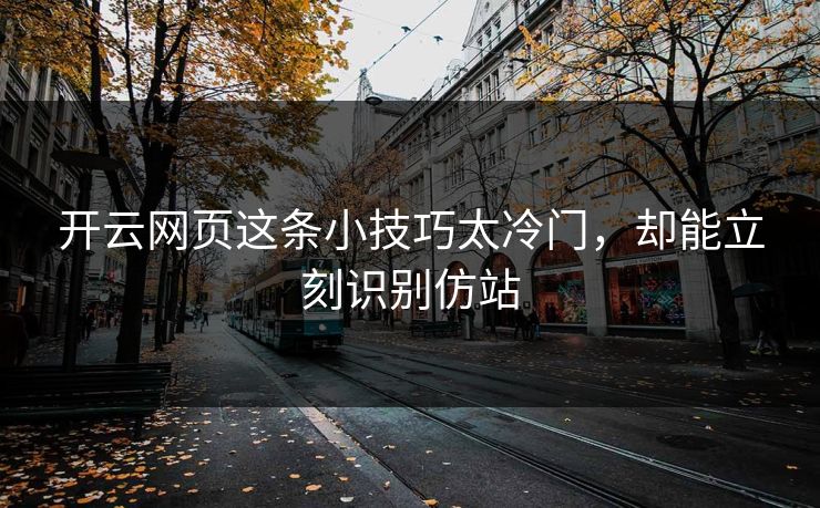 开云网页这条小技巧太冷门，却能立刻识别仿站