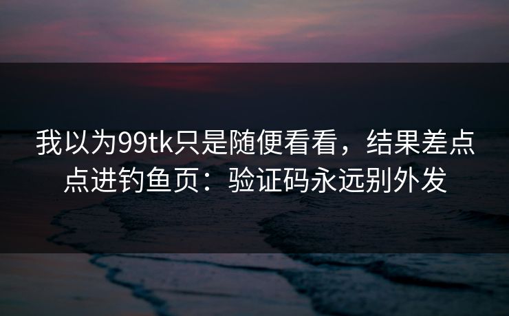 我以为99tk只是随便看看，结果差点点进钓鱼页：验证码永远别外发
